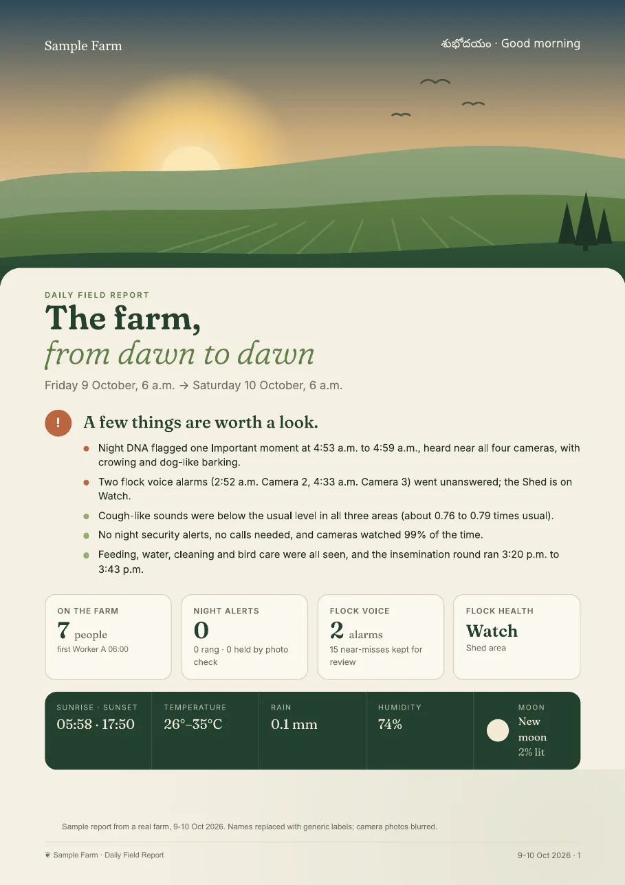 Sample Daily AI Site Report cover from a working farm: key points, people on the farm, night alerts, flock voice alarms and flock health