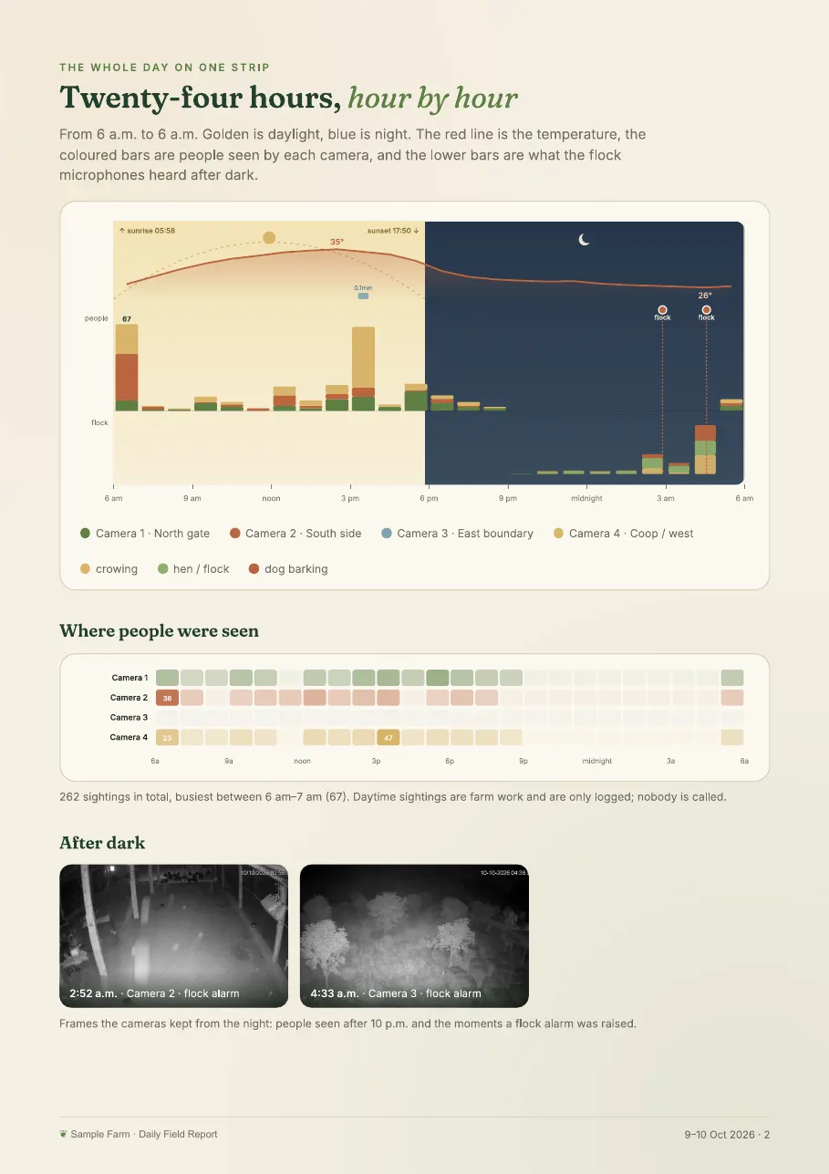Sample report page: 24 hours of people seen per camera, temperature and night sounds